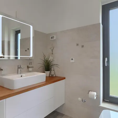 Felice Novigrad Holiday home Buzinija